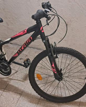 Bicicletta Atala Race Comp 24