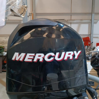 Mercury 80/115