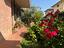 Immagine 27