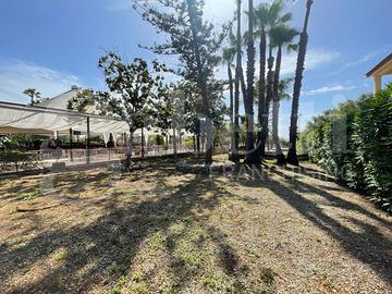 Locale Commerciale Siracusa [sr2025/081VCG]