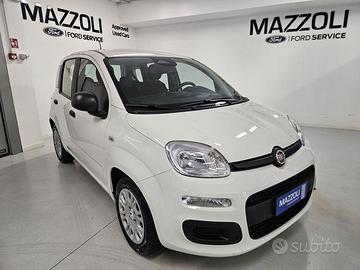 FIAT Panda 1.0 FireFly 70cv S&S Hybrid Pandina