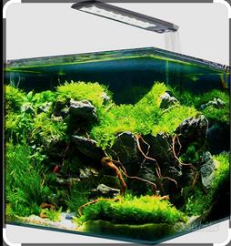 Acquario Amtra 36