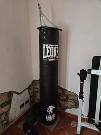 Set sacco Leone pro più pesi 