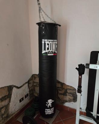Set sacco Leone pro più pesi 