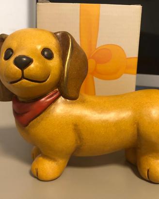 cane Bassotto Thun (2019-2020)