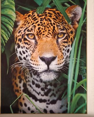Puzzle 500 pezzi