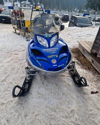 motoslitta artic cat