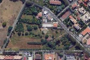 TER. AGRICOLO A ROMA