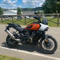 Pan America 1250 Special