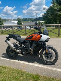 Pan America 1250 Special