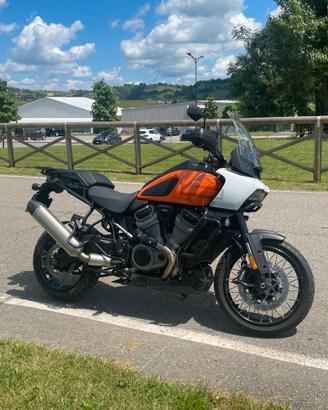 Pan America 1250 Special