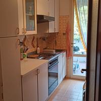 Cucina lineare 290 cm completa