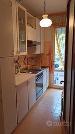 Cucina lineare 290 cm completa