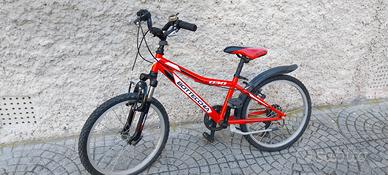 MTB front Bottecchia