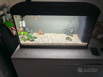 Aquario amtra 80 litri