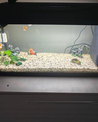 Aquario amtra 80 litri
