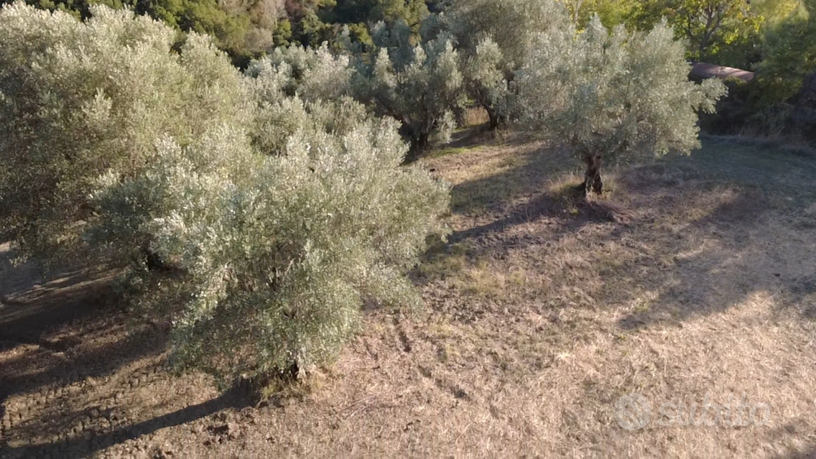Terreno agricolo edificabile - Vista 3