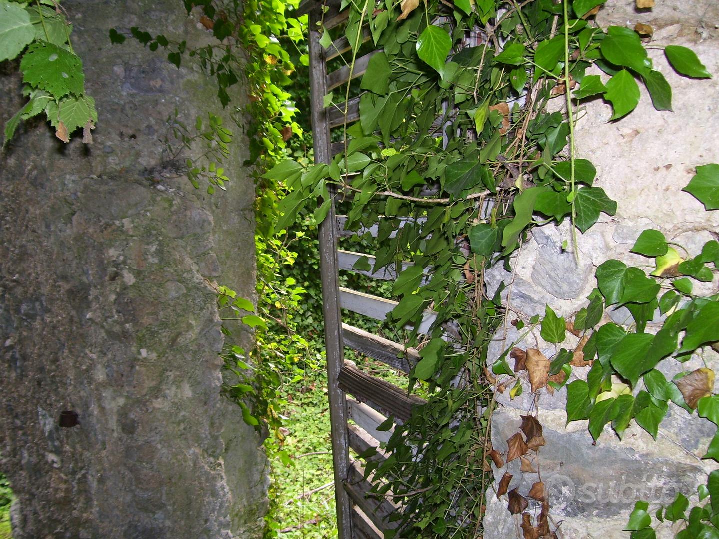 Terreno in tovo san giacomo - Altro