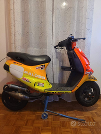 Zip Sp Malossi C-One