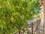 Immagine 23