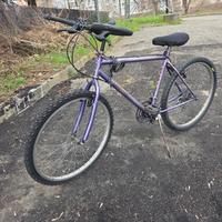 bici revisionata