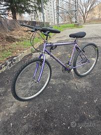 bici revisionata