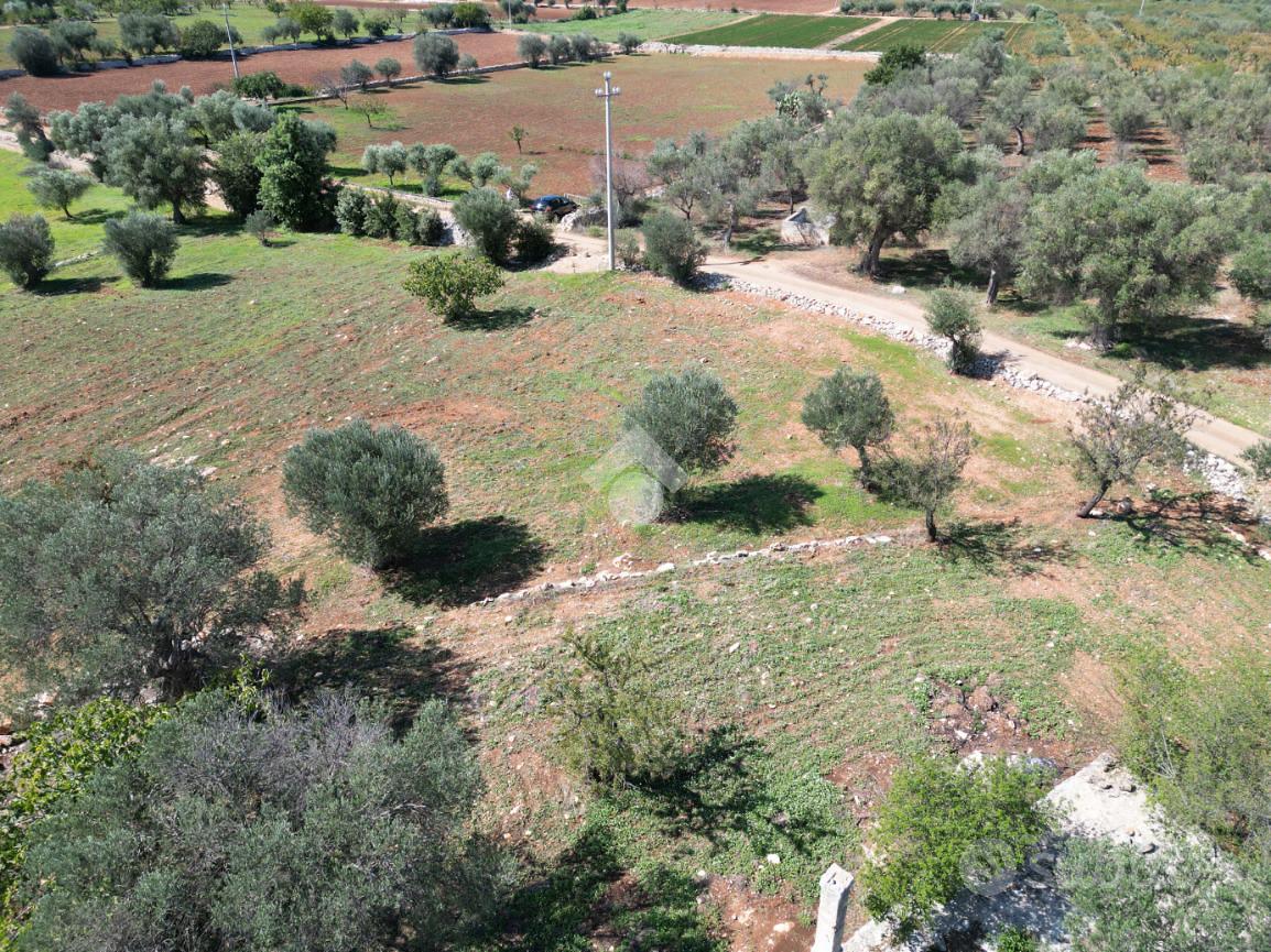TER. AGRICOLO A POLIGNANO A MARE - Vista 3