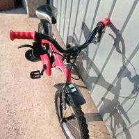 bicicletta per ragazzino 