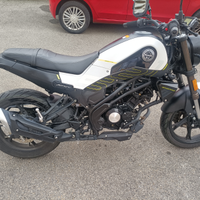 Benelli leoncino 125