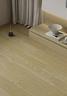 spc-spina-classe-33-min-ord-50mq-a-torino
