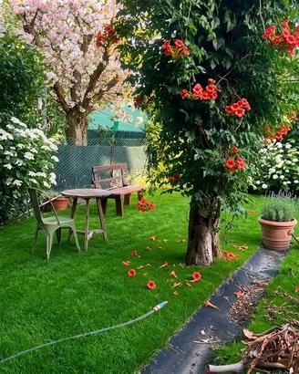 Villa a schiera Scandiano [Cod. rif v135VRG]