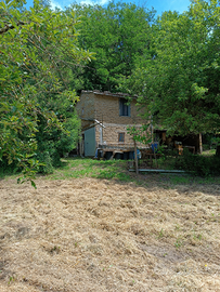 Terreno con annessi agricoli
