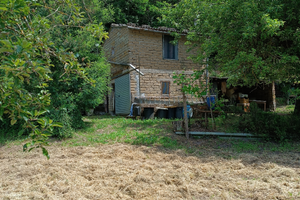 Terreno con annessi agricoli