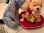 Immagine 1