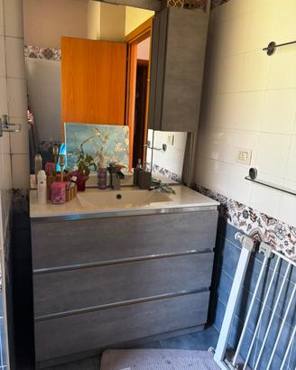 Mobile bagno