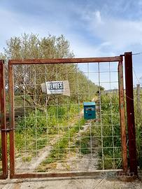 Terreno agricolo 12000mq con progetto approvato