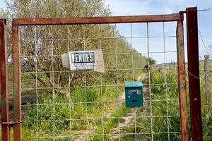 Terreno agricolo 12000mq con progetto approvato