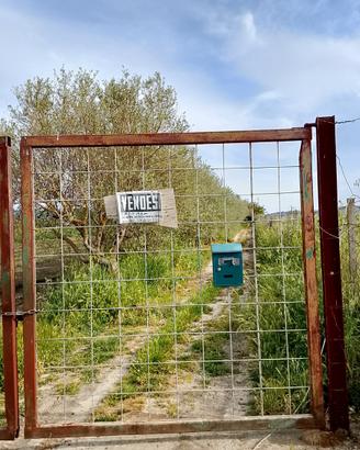 Terreno agricolo 12000mq con progetto approvato