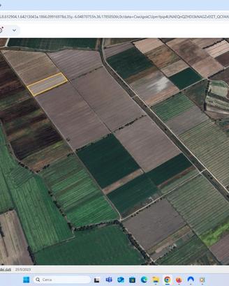 Terreno agricolo