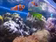 Immagine 5