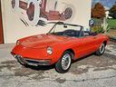 alfa-romeo-spider-1600-duetto-osso-di-seppia