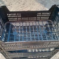 cassette plastica ortofrutta e bins legno