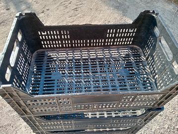 cassette plastica ortofrutta e bins legno