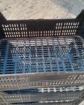 cassette plastica ortofrutta e bins legno