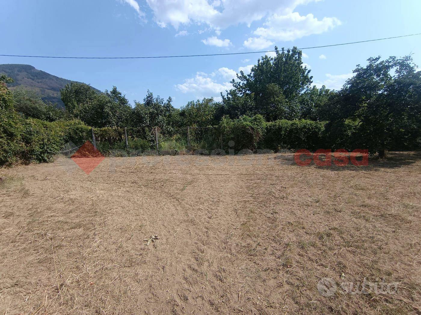 Terreno Agricolo Castel San Giorgio - Vista 5