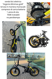 Bici elettrica