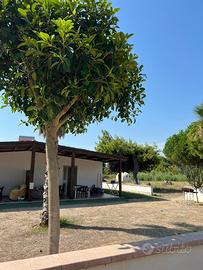 APPARTAMENTO VACANZE - FOCE VARANO