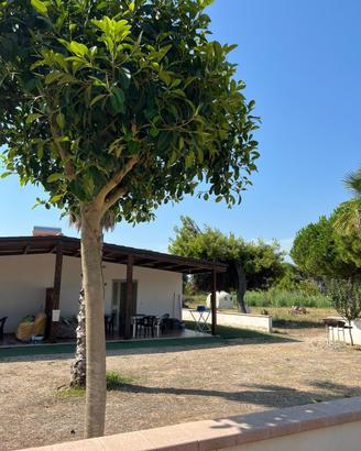 APPARTAMENTO VACANZE - FOCE VARANO
