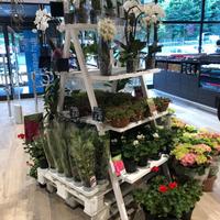 Espositore porta fiori