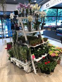 Espositore porta fiori